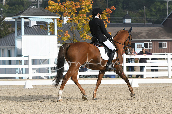 HSM_0253