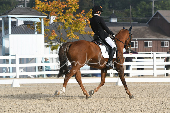 HSM_0254