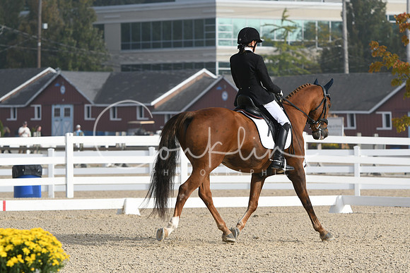 HSM_0256