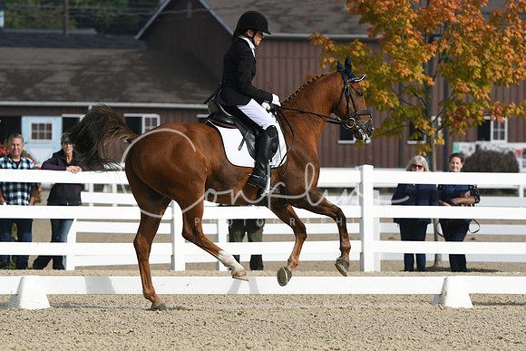 HSM_0260
