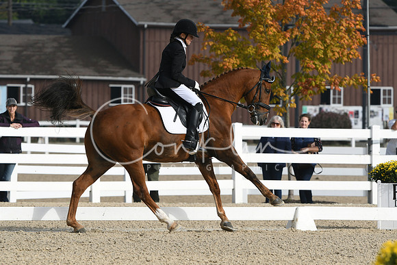 HSM_0261
