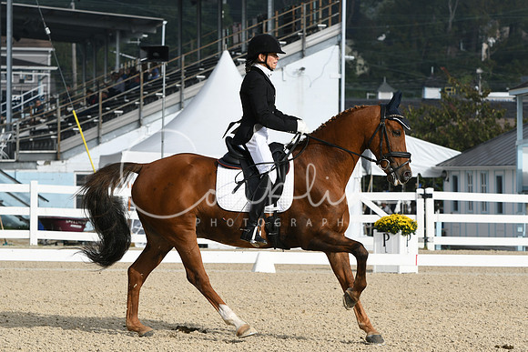 HSM_0273