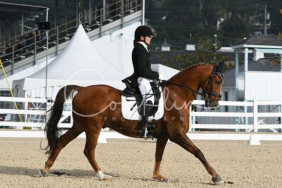 HSM_0274