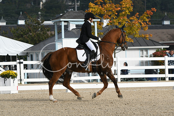 HSM_0277
