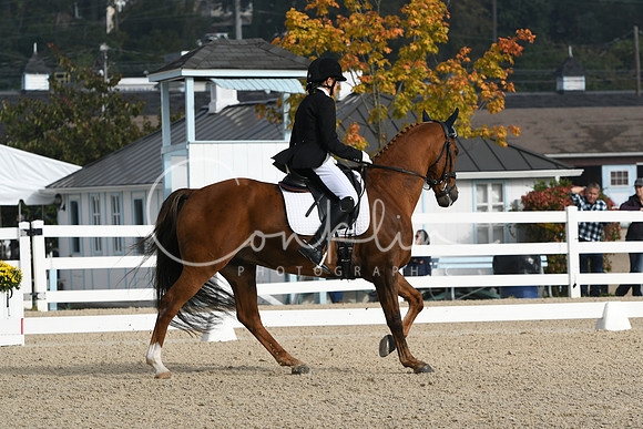 HSM_0278