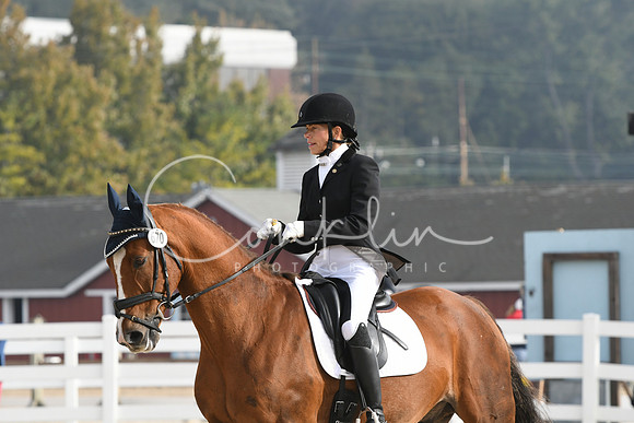 HSM_0279