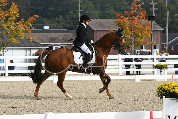 HSM_0280