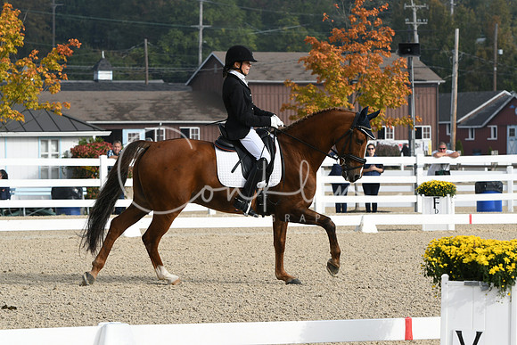 HSM_0281