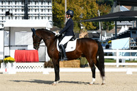 HSM_0537