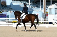 HSM_0539