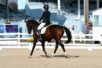 HSM_0540
