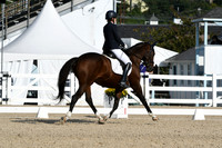 HSM_0546