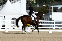 HSM_0547