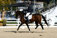 HSM_0552