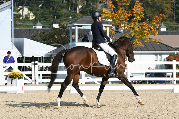 HSM_0568