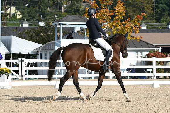 HSM_0569