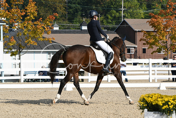 HSM_0571