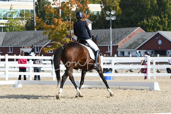 HSM_0574