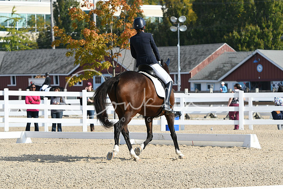 HSM_0575