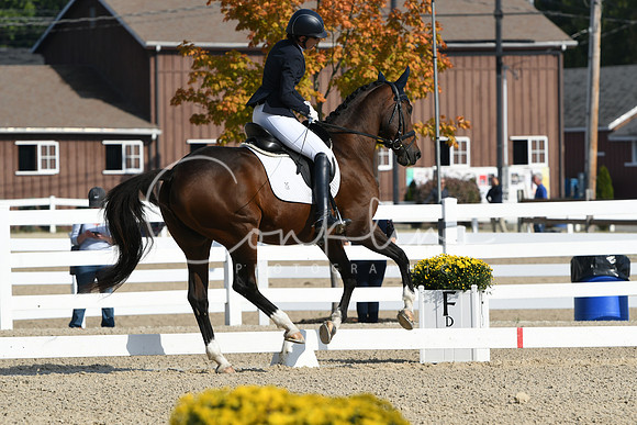 HSM_0579