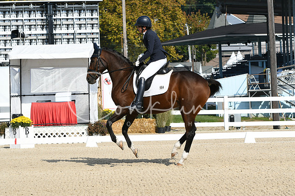 HSM_0582