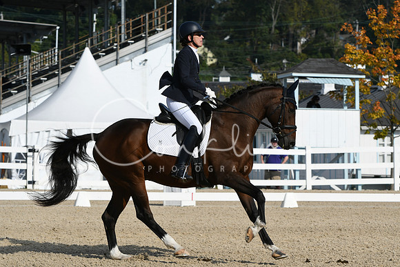 HSM_0594