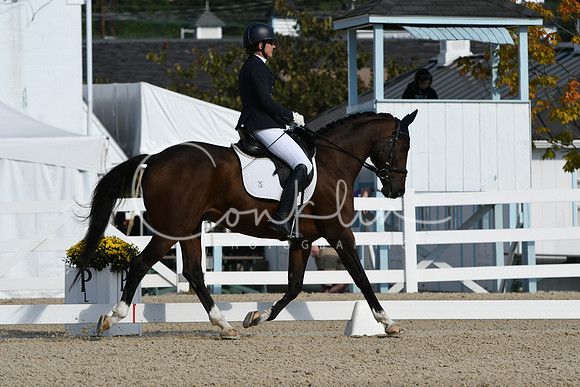 HSM_0615