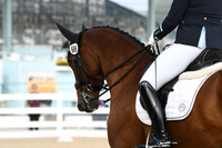 HSM_0126