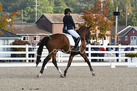 HSM_0157