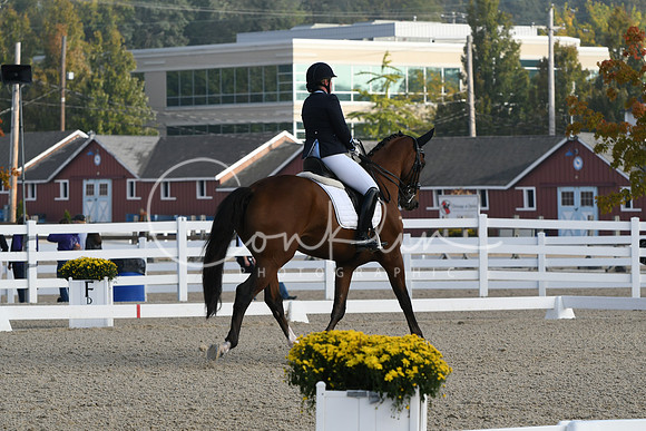 HSM_0160