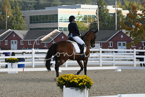 HSM_0161