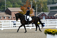 HSM_0317