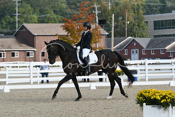 HSM_0317