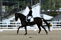 HSM_0319