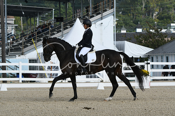 HSM_0319