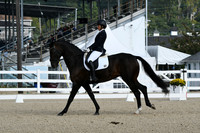 HSM_0320