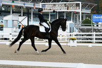 HSM_0327