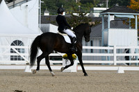 HSM_0330