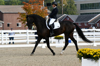 HSM_0334