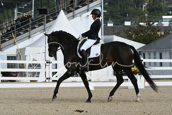 HSM_0336