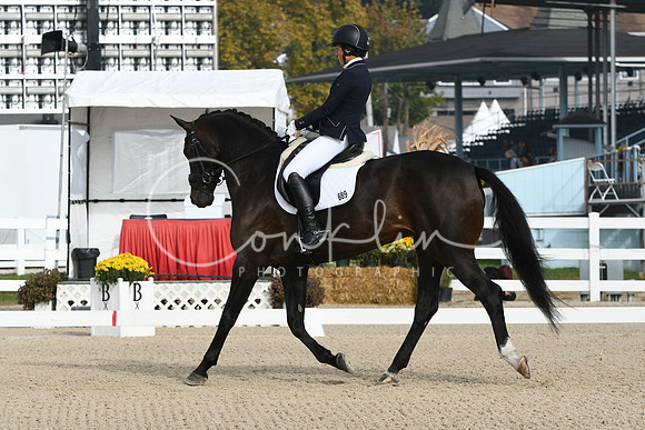 HSM_0339