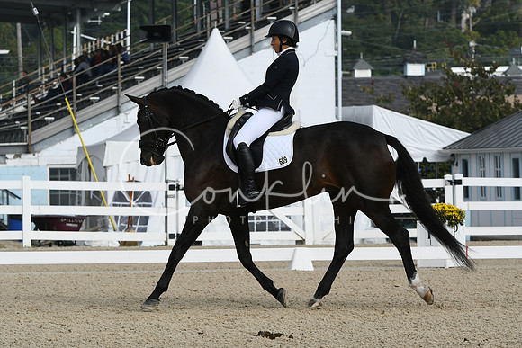 HSM_0337