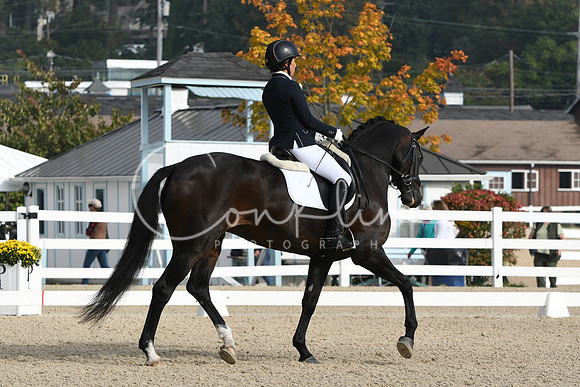 HSM_0356