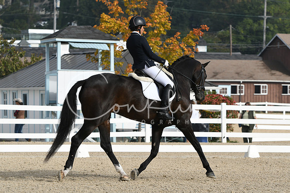 HSM_0357
