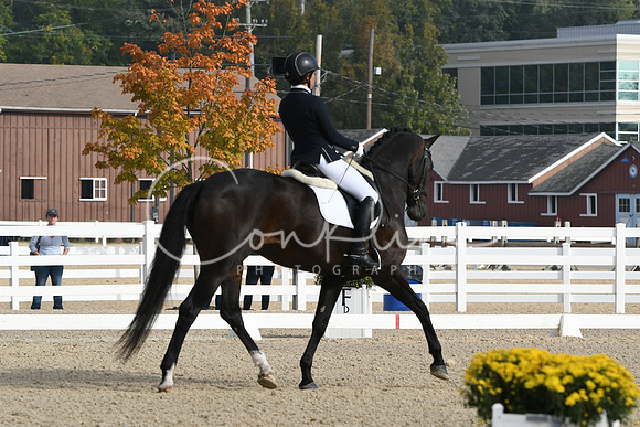 HSM_0358