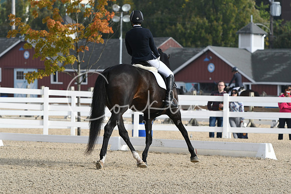 HSM_0360