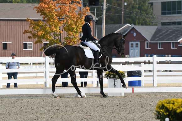 HSM_0365