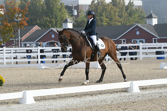 HSM_0073