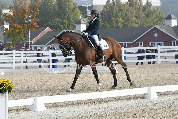 HSM_0074
