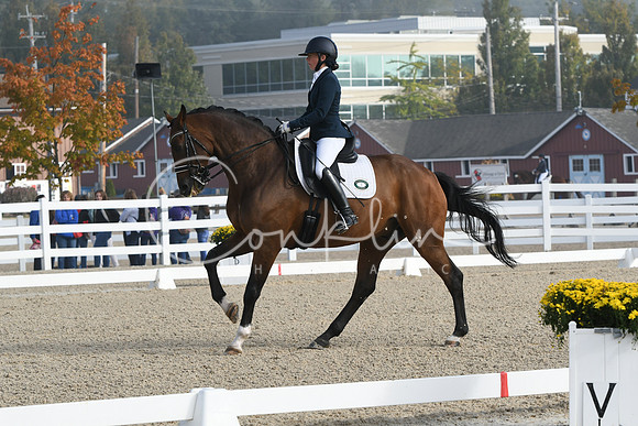 HSM_0075